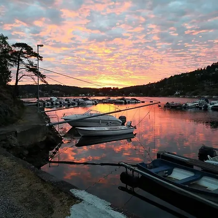 Prázdninový dům Live In Treetops With Fjord View *