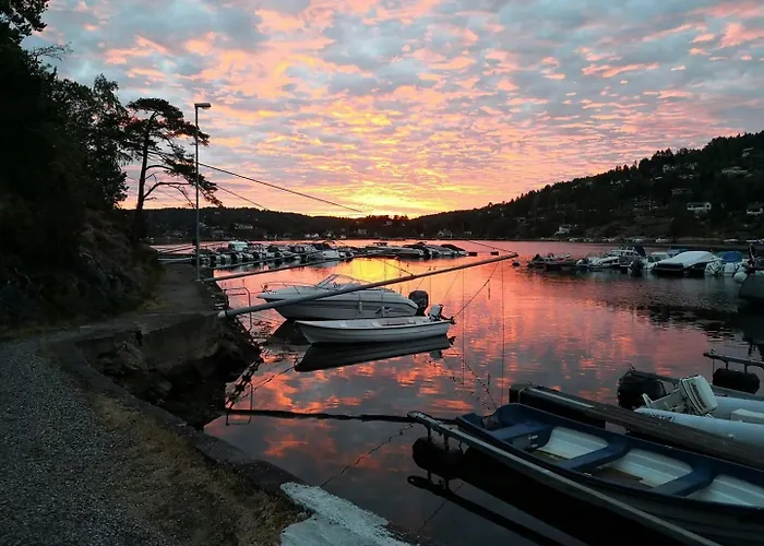 Hébergement de vacances Live In Treetops With Fjord View *